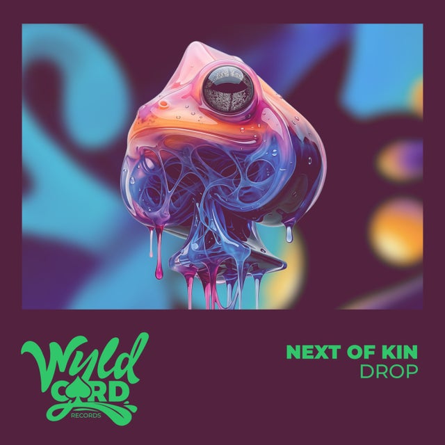 Drop - Extended Mix album art