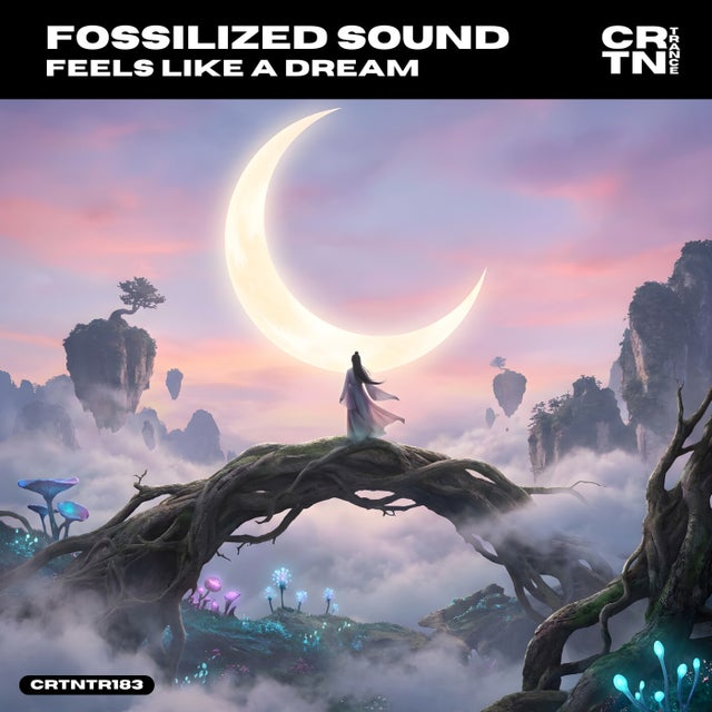 Feels Like A Dream album art