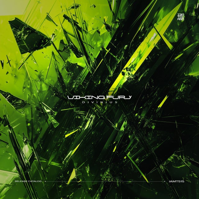 Viking Fury - Extended Mix album art