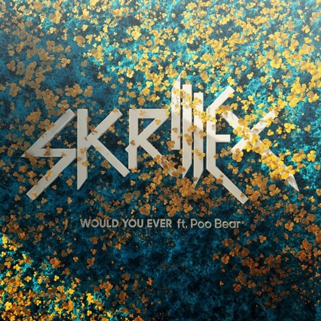 Would You Ever album art