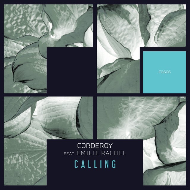 Calling - Extended Mix album art