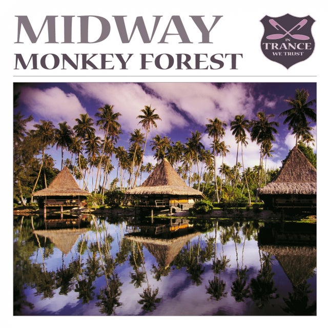 Monkey Forest - Jonas Stenberg Remix album art