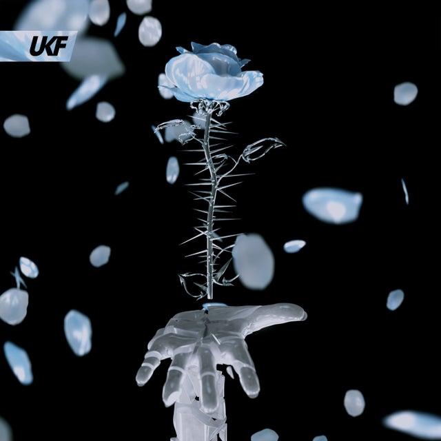 I Want You album art
