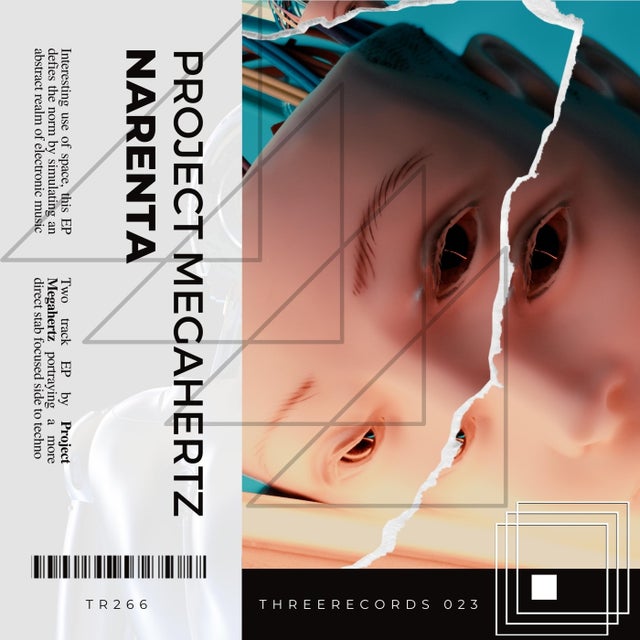 Narenta album art