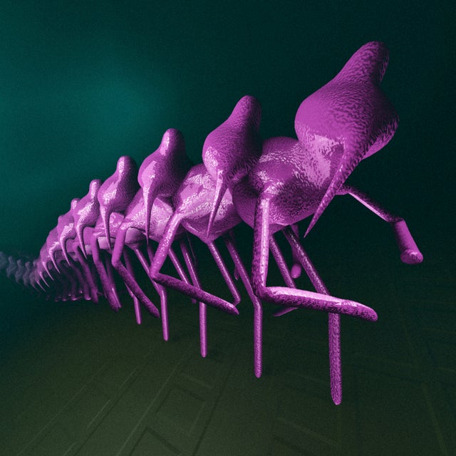 Elektrop album art