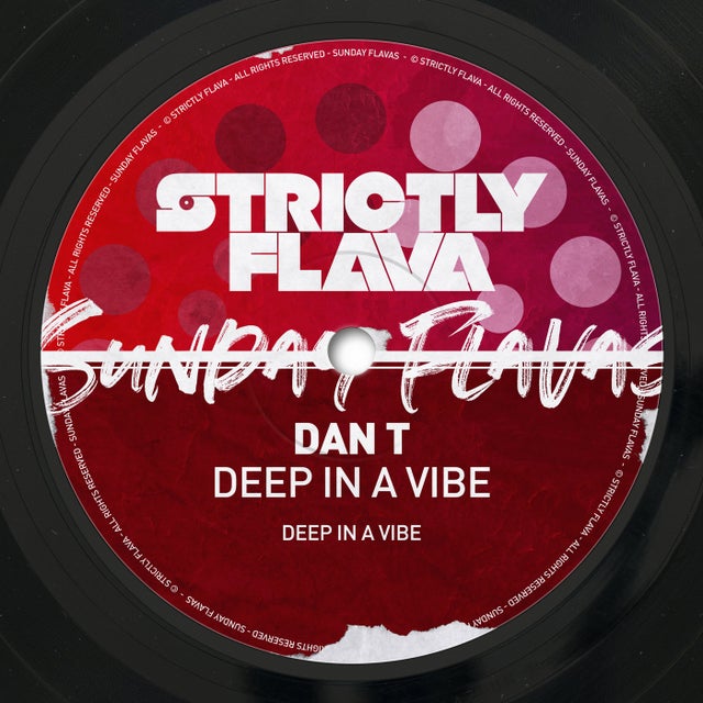 Deep In a Vibe album art