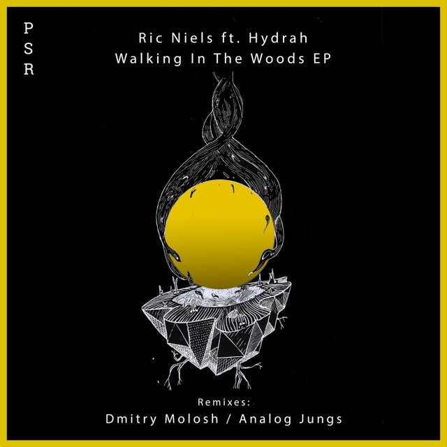 Walking In The Woods feat. Hydrah - Analog Jungs Remix album art