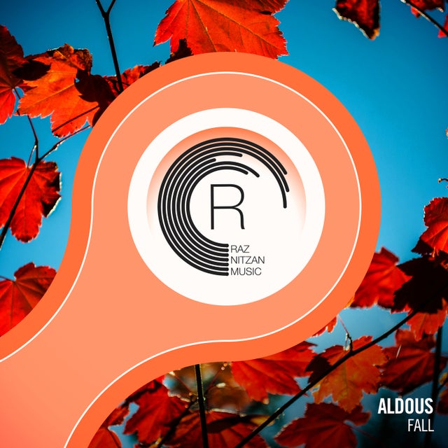 Fall - Extended Miix album art