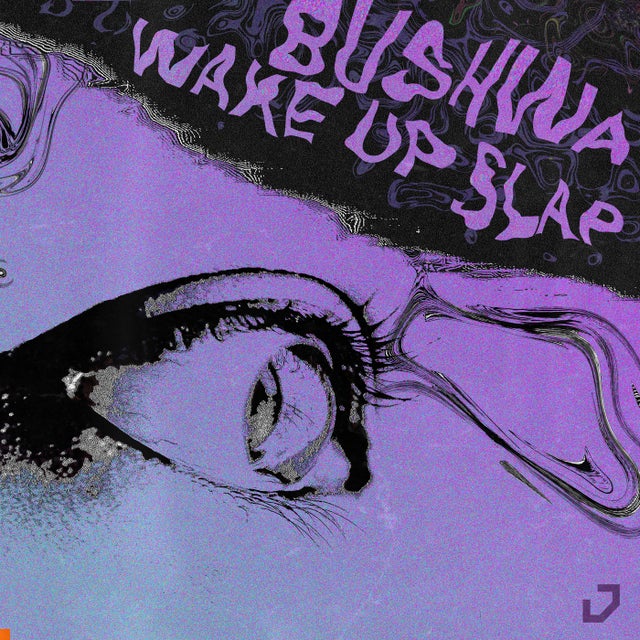 Wake Up Slap album art