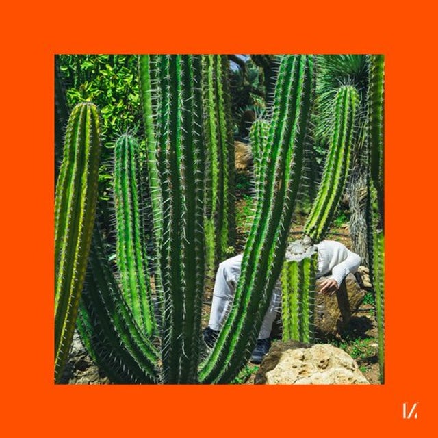 Epic album art