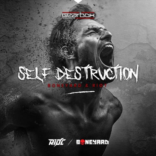 Self Destruction album art