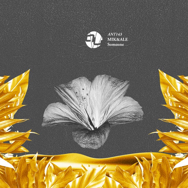Someone album art
