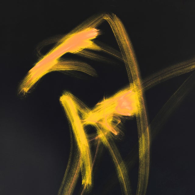 Gaivotas album art