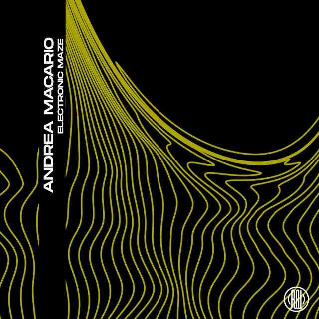 When the Bassline album art