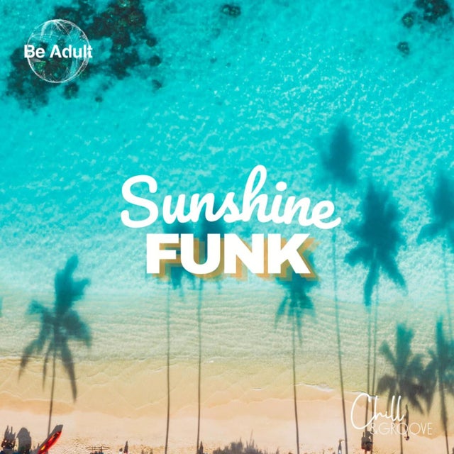 Do The Funk album art