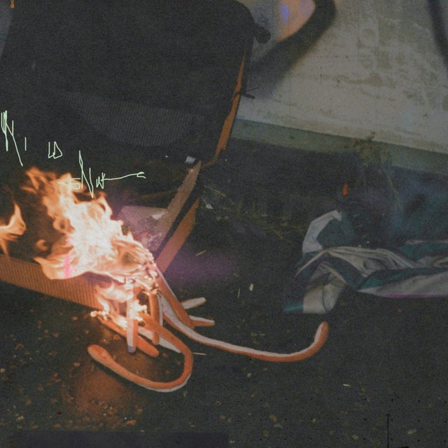 Mild Snake album art