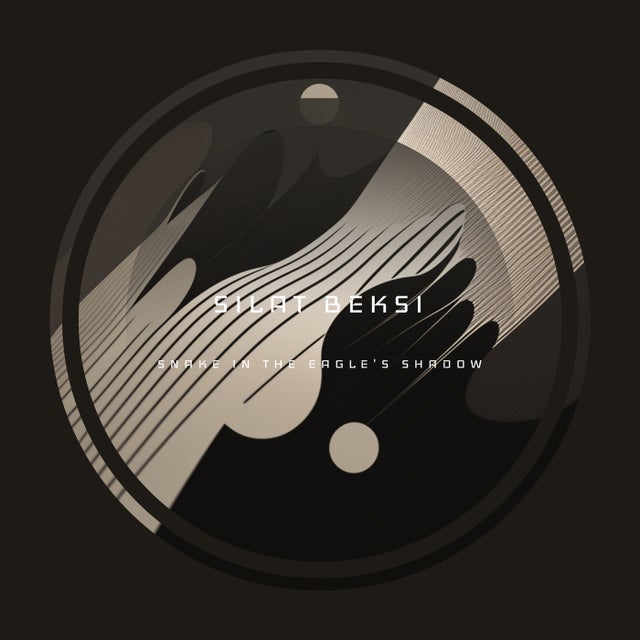 Snake In The Eagle's Shadow album art
