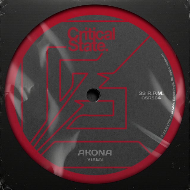 Vixen - Extended Mix album art