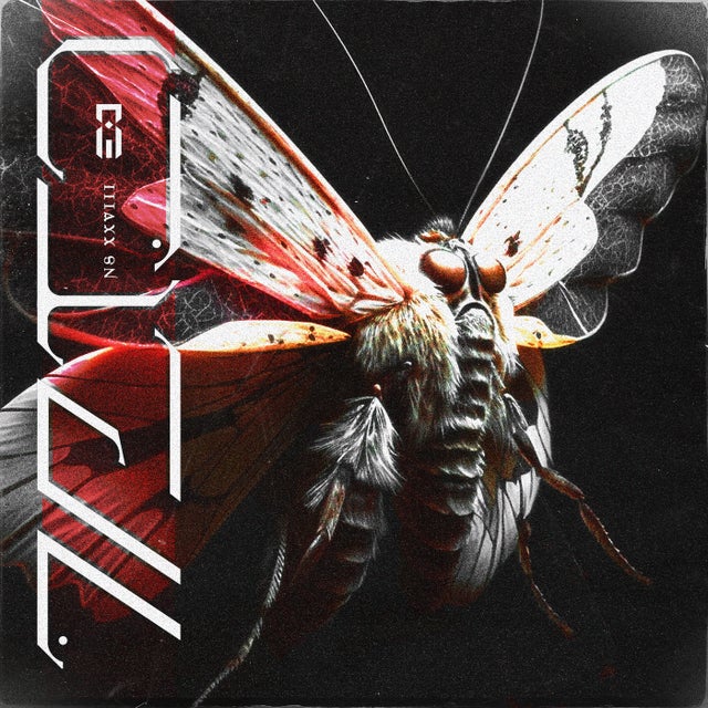 Hold Me album art