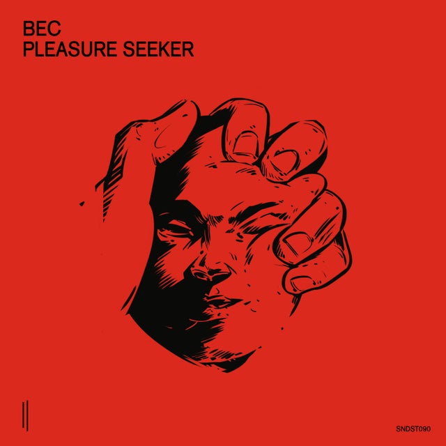Pleasure Seeker album art