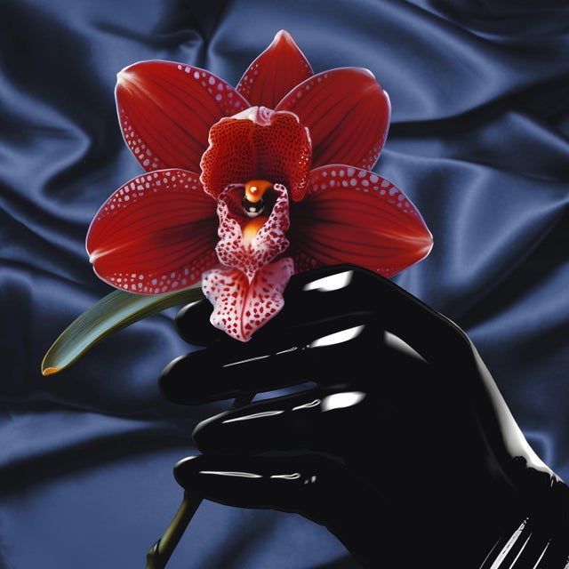 Dream Lover - Extended Mix album art