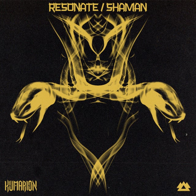 Shaman album art