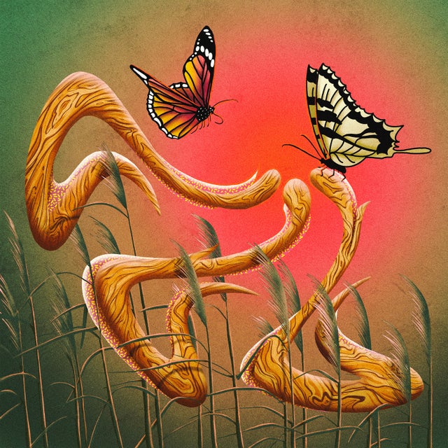 Butterfly album art