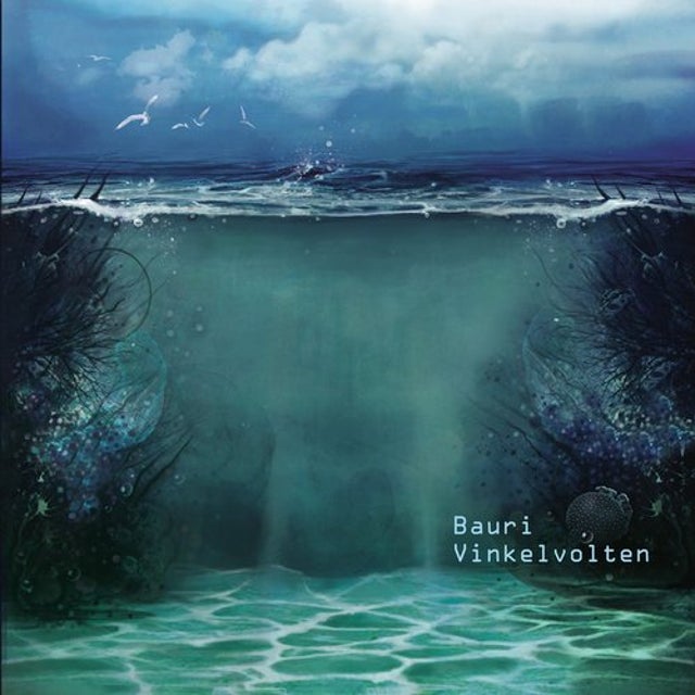 Vinkelvolten I album art