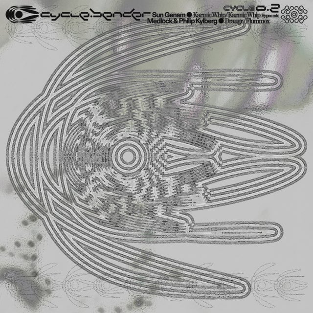 Karmic Whip album art