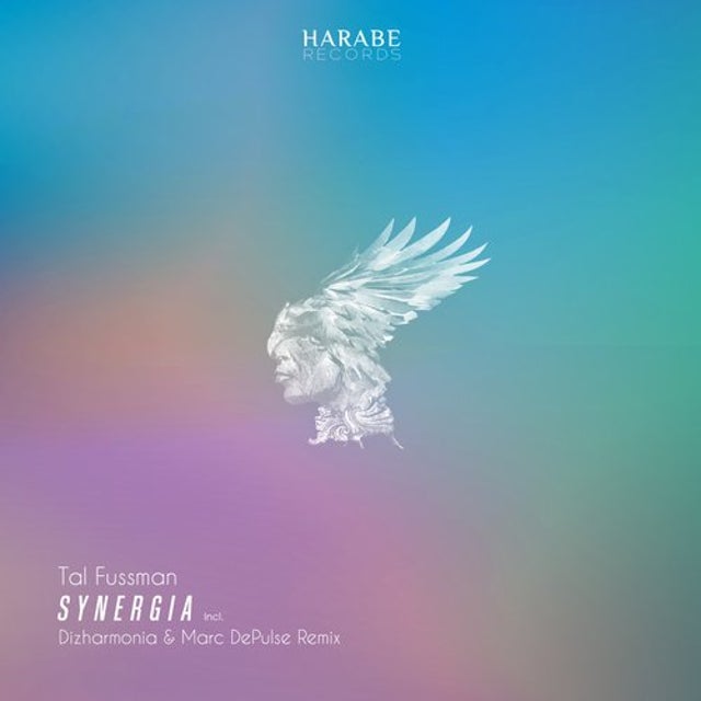 Layla - Dizharmonia Remix album art