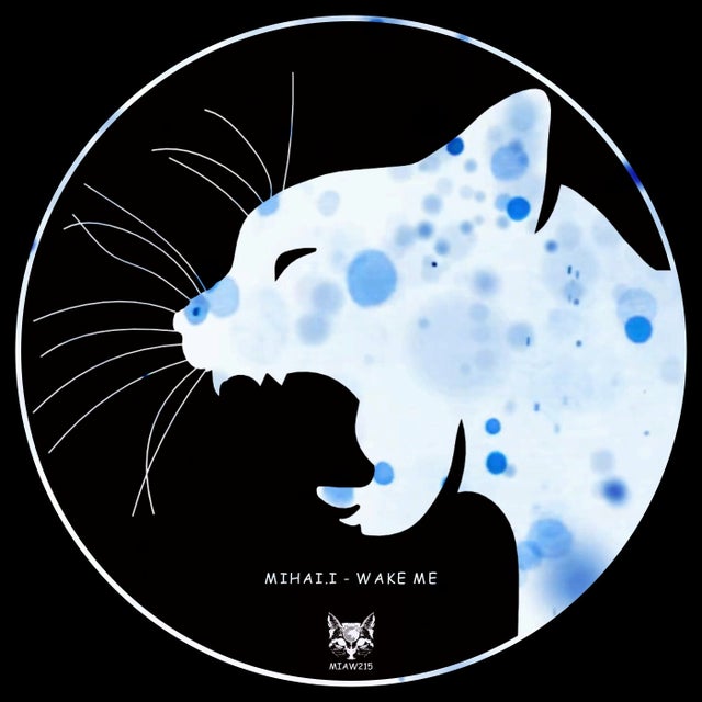 Pampara album art
