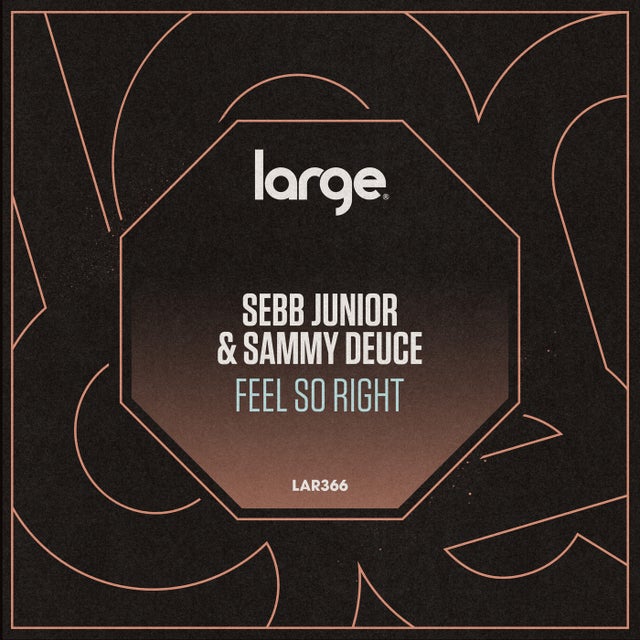 Feel So Right - Dub Mix album art