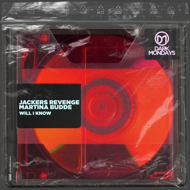 Will I Know album art