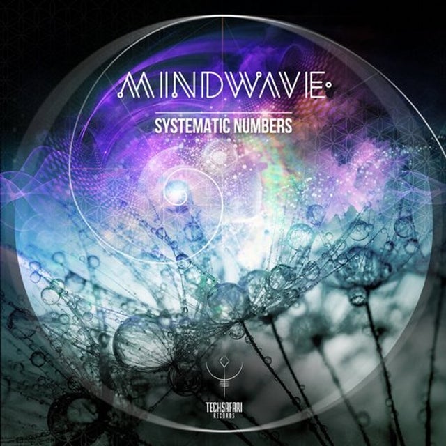 Systematic Numbers album art