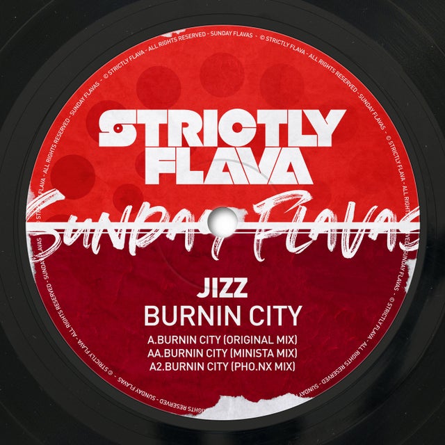 Burnin City - PHO.NX Remix album art