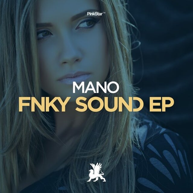 Fnky Sound - Original Club Mix album art