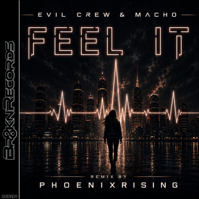 Feel It - PhoenixRising Remix album art