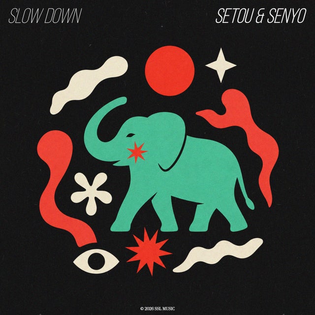 Slow Down - Extended Mix album art