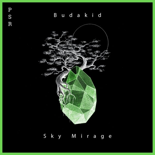 Sky Mirage album art