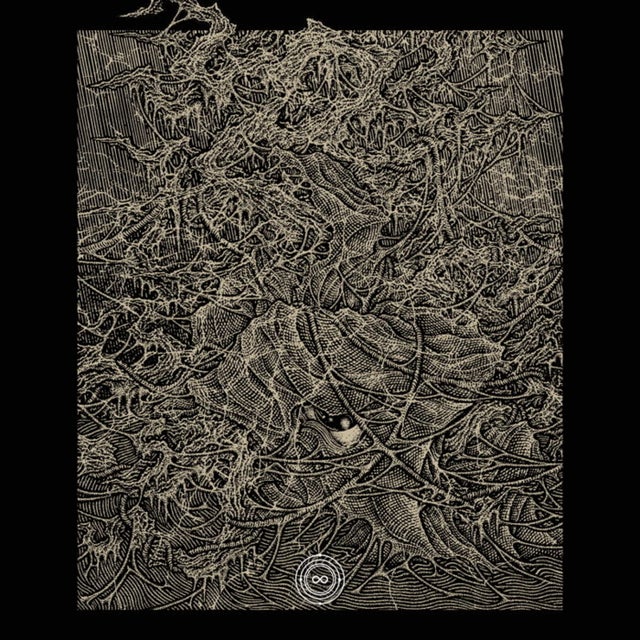 Cold Front album art