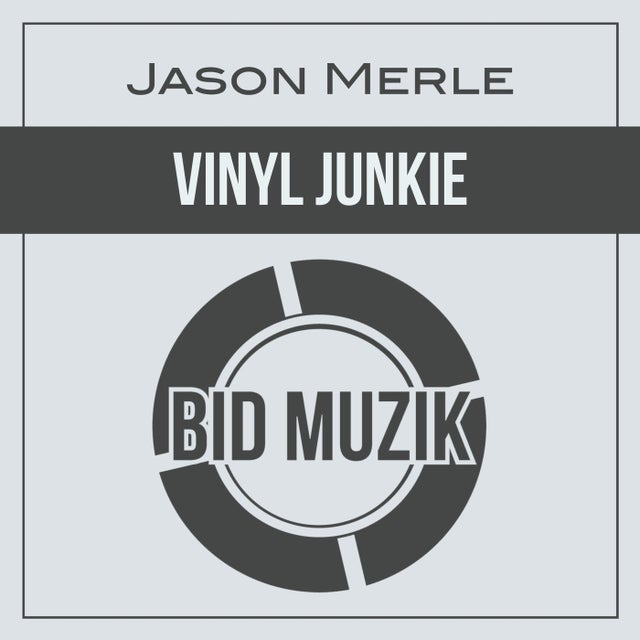 Vinyl Junkie album art