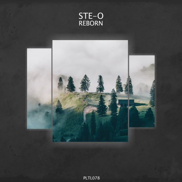 Reborn album art