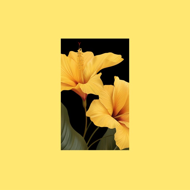 Lovin' Sun album art