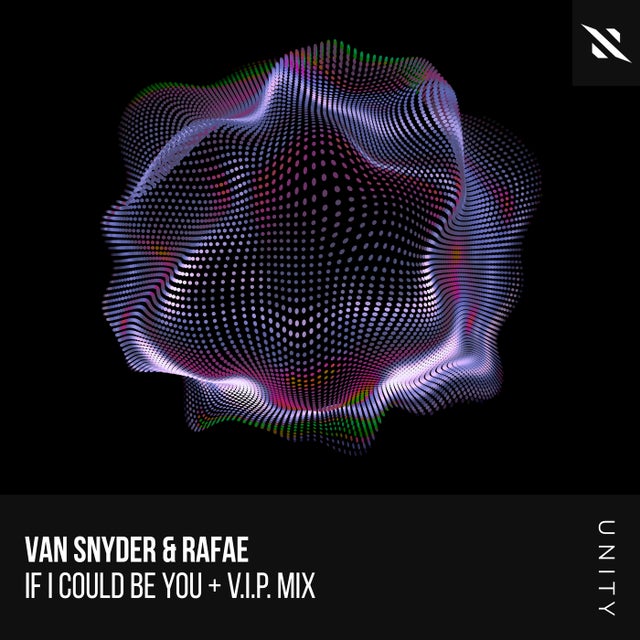 If I Could Be You - Van Snyder Extended V.I.P. Mix album art