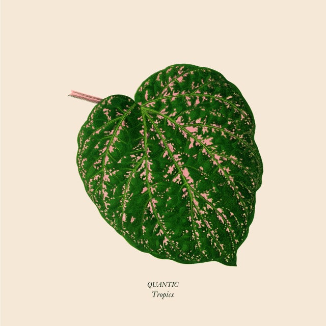 Tropics album art