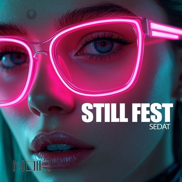 Still Fest - Extended Mix album art