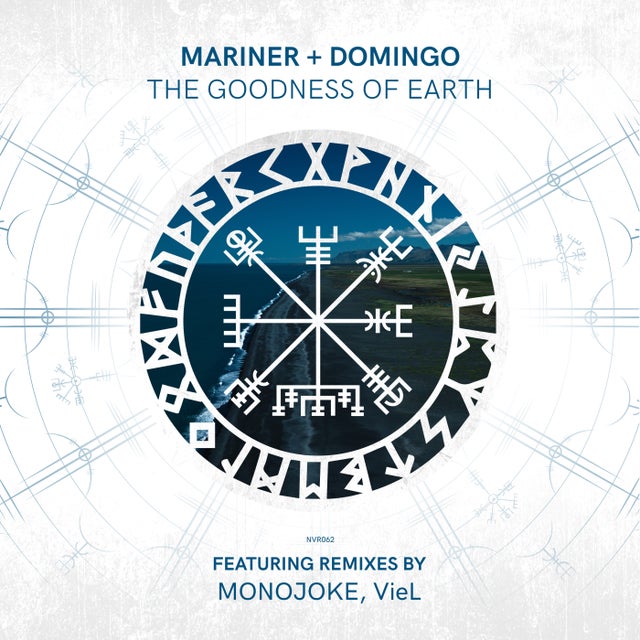 The Goodness of Earth - VieL Remix album art