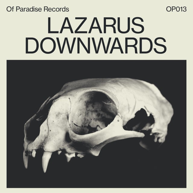 Downwards album art