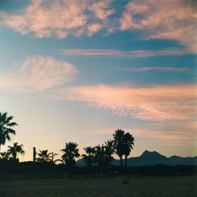 First Light Falling album art
