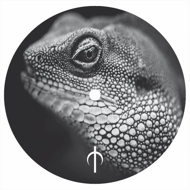 Paraeidolie album art